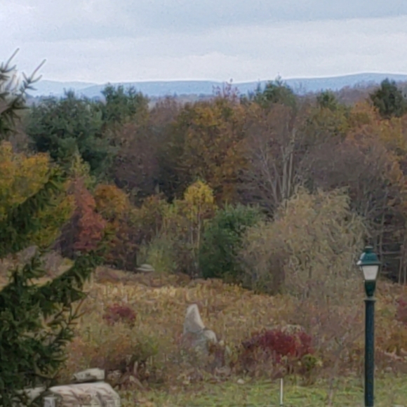 Meet your Posher, Ellen - Picture 4 of 6